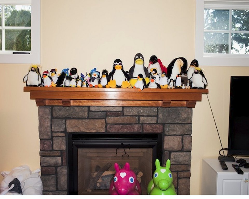 Mr. Linux: Ποιος είναι ο «βασιλιάς των geeks» και περήφανος πατέρας τριών παιδιών | iefimerida.gr 1