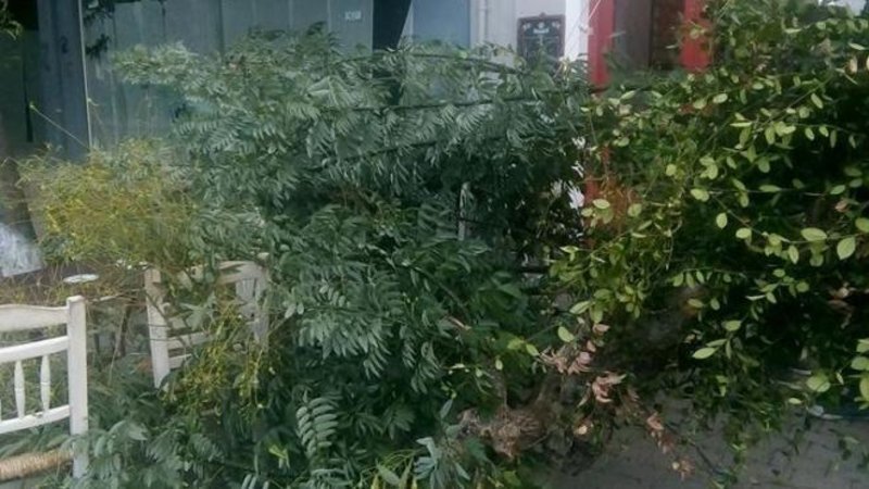 Ευτυχώς δεν υπήρξε τραυματισμός