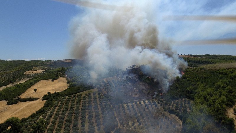 Παίρνει διαστάσεις η φωτιά στην Αμαλιάδα -Εκκενώνεται το χωριό Ανάληψη | iefimerida.gr 0