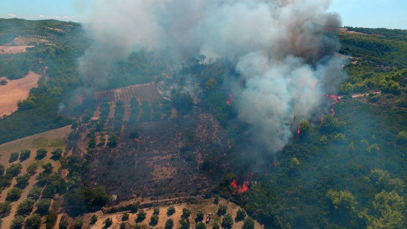 Παίρνει διαστάσεις η φωτιά στην Αμαλιάδα -Εκκενώνεται το χωριό Ανάληψη | iefimerida.gr 1