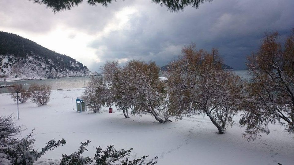 Στην κατάψυξη η χώρα για τρίτη ημέρα -Δύο νεκροί και προβλήματα στα νησιά -Δραματική κατάσταση σε Αλόννησο και Σκόπελο | iefimerida.gr 1