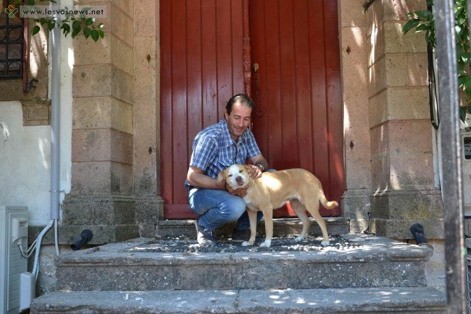 Το σκυλί της άτυχης 43χρονης στη Βρίσα έσκαβε να τη βρει στα ερείπια και έμεινε εκεί κλαίγοντας | iefimerida.gr 0