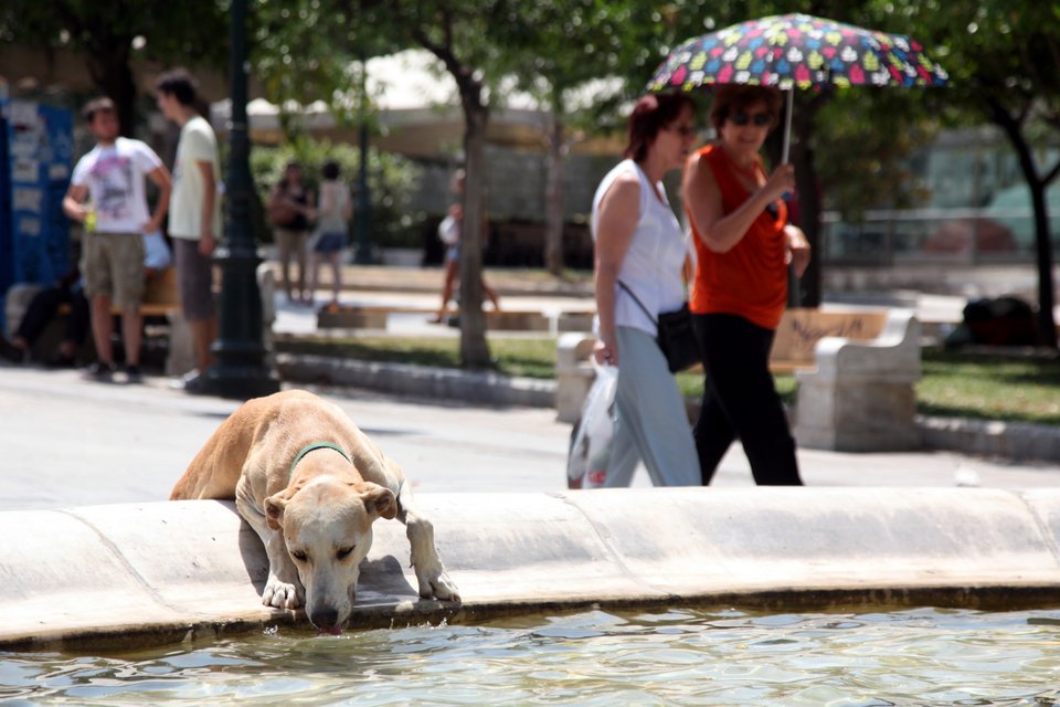 «Λιώνει» η χώρα από τον καύσωνα – Στους 43 βαθμούς η θερμοκρασία την Δευτέρα | iefimerida.gr 0