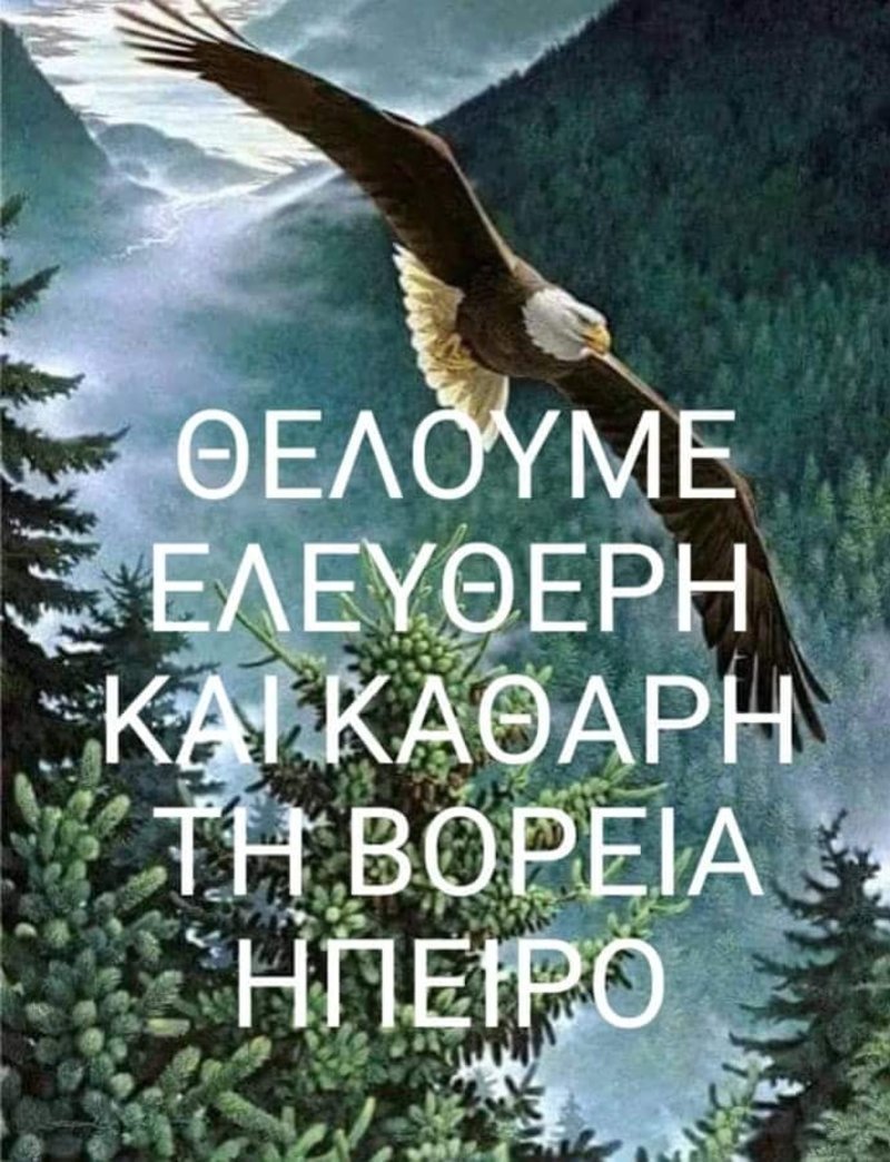 Οι αναρτήσεις του ομογενούς που σκότωσε η αλβανική αστυνομία -Ζητούσε ένωση Ελλάδας-«Β.Ηπείρου» | iefimerida.gr 7