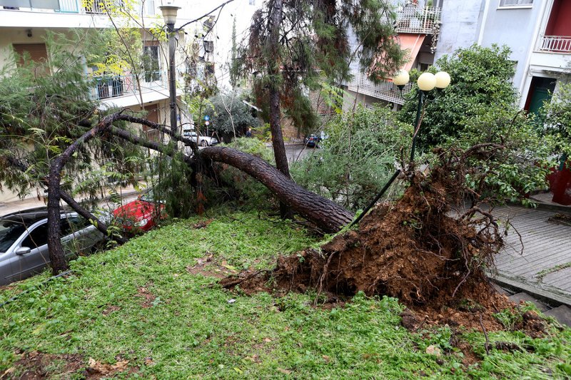 Εικόνες καταστροφής μετά από την καταιγίδα στην Αττική: Σπίτια γεμάτα λασπόνερα, δρόμοι «λίμνες» | iefimerida.gr 4