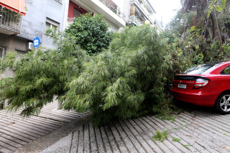 Εικόνες καταστροφής μετά από την καταιγίδα στην Αττική: Σπίτια γεμάτα λασπόνερα, δρόμοι «λίμνες» | iefimerida.gr 5