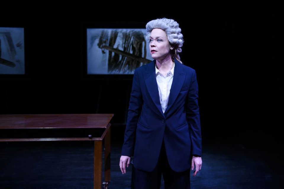 H Λένα Παπαληγούρα στον συγκλονιστικό ρόλο της δικηγόρου Tessa Ensler