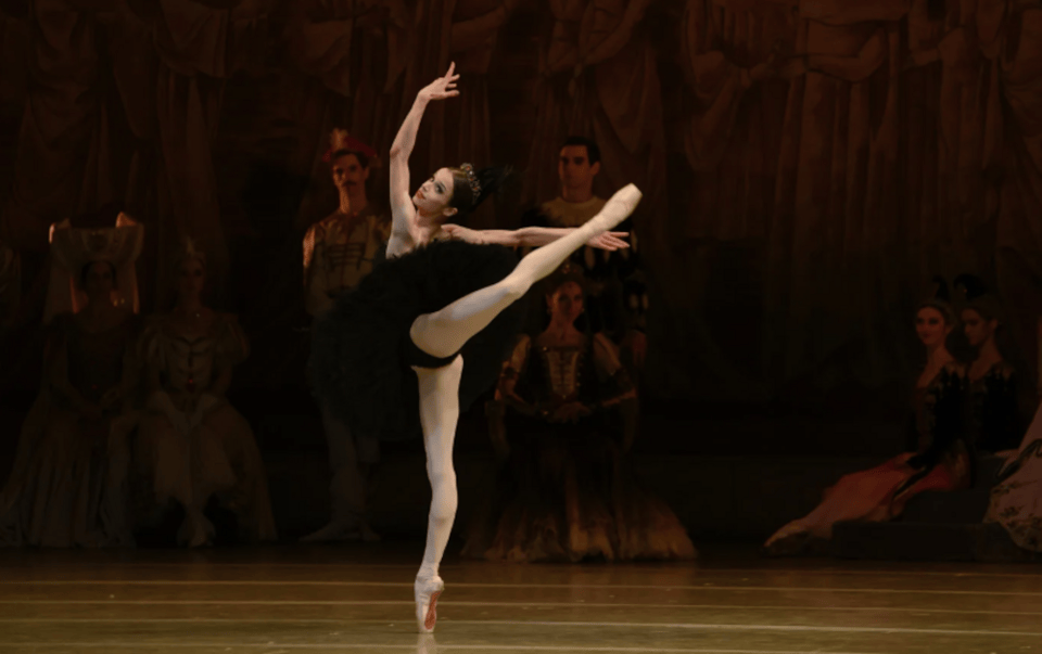 Σπουδαίοι σολίστ του ιστορικού Bolshoi Ballet και του θρυλικού Mariinsky Ballet, μαζί με διακεκριμένους χορευτές από τα Εθνικά Μπαλέτα της Εσθονίας, της Ιταλίας και του Ηνωμένου Βασιλείου, θα παρουσιάσουν ένα πρόγραμμα υψηλής καλλιτεχνικής αξίας