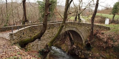 γεφυρι πετρινο δεντρα
