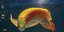 Δείτε το εντυπωσιακό ψάρι - δράκο που φαίρνει καλή τύχη [εικόνες]