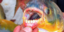 Σοκ στη Γαλλία: Το φονικό ψάρι με τα ανθρώπινα δόντια εντοπίστηκε και στον Σηκου