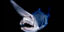 Σπάνιος καρχαρίας καλικάντζαρος εντοπίστηκε στον Κόλπο του Μεξικού [εικόνες]