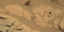 Μία ύποπτη... μπάλα στον πλανήτη Αρη εντόπισε το Curiosity της NASA [εικόνα]