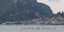 Απίστευτη ομορφιά στην Αργολίδα -Κοπάδι φλαμίνγκο έκανε βόλτες στη θάλασσα [εικό