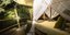 Το κάμπινγκ αλλιώς -Χλιδάτα ξενοδοχεία με δεντρόσπιτα και κρεβάτια μέσα στο δάσο
