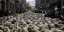 Οι δρόμοι της Λυών γέμισαν πρόβατα (Φωτογραφία: AP/ Laurent Cipriani)