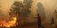 Από την πυρκαγιά στην Κινέτα Αττικής-Φωτογραφία: Intimenews/Γιάννης Λιάκος