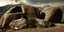 Οι εντυπωσιακοί βράχοι στο χωριό Βωλάξ της Τήνου 