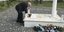 Ο Τερενς Κουίκ καταθέτει στεφάνι στο μνημείο του Νίκου Μπελογιάννη