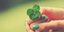 Βαμμένα νύχια πράσινα κρατούν ένα τετράφυλλο τριφύλλι