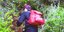 Με την συνδρομή ελικοπτέρου super puma συνεχίζεται η επιχείρηση ανάσυρσης του νεκρού ορειβάτη στην Πάρνηθα	