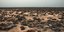 Ξηρασία έρημος στην Τυνησία