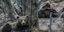 Ο αέναος «πόλεμος» ανθρώπου και αρκούδας στην ορεινή Ελλάδα
