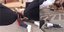ΗΠΑ: Καρέ-καρέ βίντεο με αστυνομικό να «αδειάζει» όπλο πάνω σε δράστη -Είχε επιτεθεί με μαχαίρι σε γυναίκα