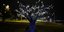 :«Άνθισε» το φωτοβολταϊκό δέντρο στη Νέα Παραλία