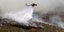 Αναζωπυρώσεις σε Πανόραμα Μάνδρας και Μελετάκι -Νέες πυρκαγιές σε Άρτα και Λακωνία