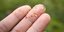 ΕΕ: Η Κομισιόν θεσπίζει μέτρα για τον περιορισμό των μικροπλαστικών που προστίθενται σκόπιμα σε προϊόντα