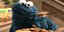 Ο Cookie Monster με τα μπισκότα του 
