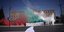 συλλαλητήριο, Καπνογόνα στα χρώματα της Παλαιστινιακής σημαίας