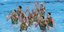 Η εθνική ομάδα καλλιτεχνικής κολύμβησης προκρίθηκε στον τελικό του ακροβατικού
