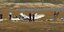 Ιδιωτικό αεροσκάφος με έξι επιβάτες συνετρίβη στην Μασσαλία
