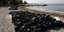 Εργασίες καθαρισμού στην παραλία Αλίμου (Φωτογραφία: EUROKINISSI/ΓΙΑΝΝΗΣ ΠΑΝΑΓΟΠΟΥΛΟΣ)