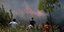 Πυρκαγιά καίει δασική περιοχή στην Αρτα / Φωτογραφία: Menelaos Myrillas / SOOC/ Αρχείο