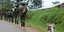 Φρίκη στο Κονγκό -Εσφαξαν αμάχους με τσεκούρια