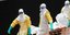 O Εμπολα έφτασε στην Ευρώπη -Στην Ισπανία το πρώτο κρούσμα μετάδοσης του ιού 