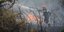 Δύο μεγάλες εστίες πυρκαγιών στην Αμαλιάδα Ηλείας -Φωτογραφίες: ΑΝΤΩΝΗΣ ΝΙΚΟΛΟΠΟΥΛΟΣ/EUROKINISSI