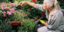 Τα οφέλη της κηπουρικής: Παρατείνει τη ζωή και μειώνει τον κίνδυνο εμφράγματος κ