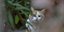 Απίστευτο! Γάτα εγκλωβίστηκε σε ΑΤΜ στη Λάρισα /Φωτογραφία Αρχείου: Intime News