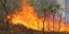 Η φωτιά στην Κερατέα απειλεί σπίτια – Μαίνεται το μέτωπο στη Λακωνία