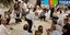 Ζεϊμπέκικο χόρεψε ο κ. Κουρουμπλής στην Πρέβεζα (Φωτογραφία: prevezatoday)