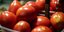 ντομάτες/Φωτογραφία: Eurokinissi/ΓΙΑΝΝΗΣ ΠΑΝΑΓΟΠΟΥΛΟΣ