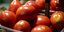 ντομάτες/Φωτογραφία: Eurokinissi