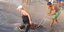 Επιασαν σκυλόψαρο 200 κιλών στη Χαλκιδική -Το μήκος του έφτανε στα 3 μέτρα [εικό