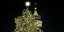 Πουλούσαν... προστασία στο χριστουγεννιάτικο δέντρο του Μπάρι (Φωτογραφία αρχείου: AP/ Andrew Medichini)