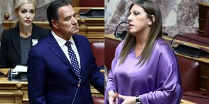 Άδωνις Γεωργιάδης, Ζωή Κωνσταντοπούλου