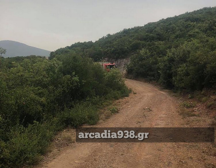 Στην περιοχή έχουν σπεύσει και πυροσβεστικά αεροπλάνα προκειμένου να βοηθήσουν στην έρευνα.